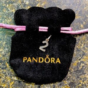 Pandora charm #2